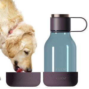 Water Bottle & Bowl Combo